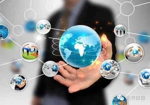 互聯網時代涉農企業營銷突破之路 數字化驅動與品牌賦能